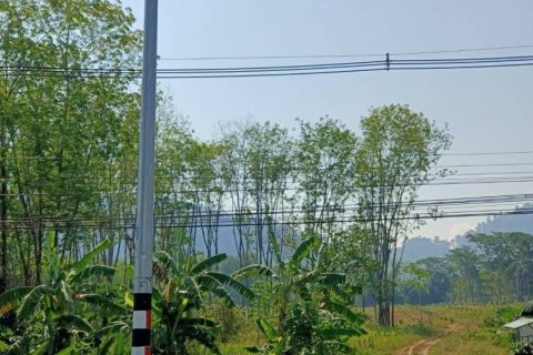 Terrain à Phang Nga, Thaïlande 14400 m2 № 142313 - photo 8