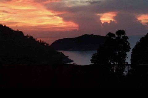 Коммерческая недвижимость в Сураттхани, Таиланд 300м2  № 132564 - фото 5