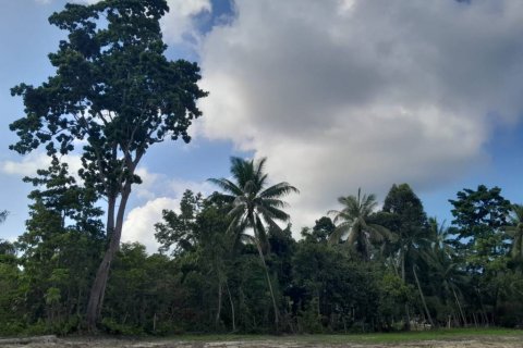 Земельный участок в Сураттхани, Таиланд  № 115810 - фото 7