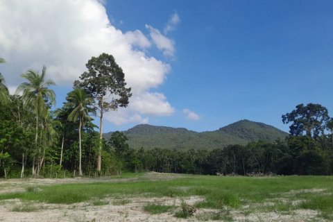 Земельный участок в Сураттхани, Таиланд  № 115810 - фото 1