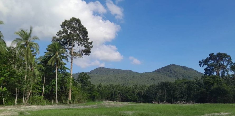 Земельный участок в Сураттхани, Таиланд  № 115810