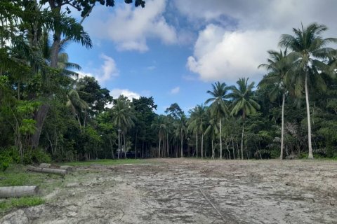 Земельный участок в Сураттхани, Таиланд  № 115810 - фото 9