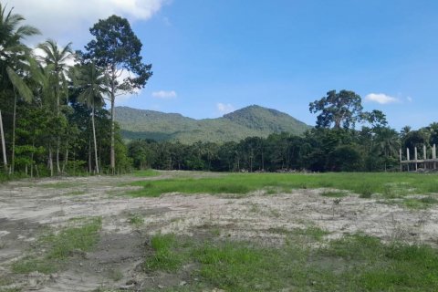 Земельный участок в Сураттхани, Таиланд  № 115810 - фото 3