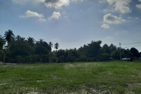 Земельный участок в Сураттхани, Таиланд  № 115810 - фото 8