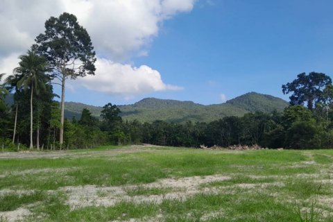 Земельный участок в Сураттхани, Таиланд  № 115810 - фото 4