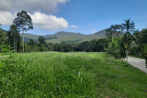 Земельный участок в Сураттхани, Таиланд  № 115810 - фото 6