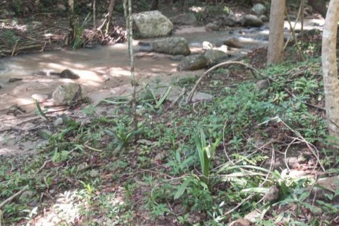 Земельный участок в Сураттхани, Таиланд  № 115811 - фото 3