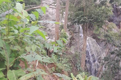 Land in Phuket, Thailand 966 sq.m. № 141927 - photo 5