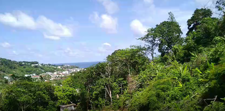 Land in Phuket, Thailand 966 sq.m. № 141927