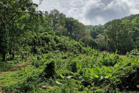 Land in Phuket, Thailand 966 sq.m. № 141927 - photo 4