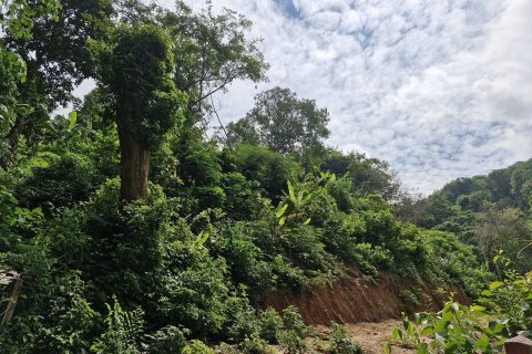 Land in Phuket, Thailand 966 sq.m. № 141927 - photo 2