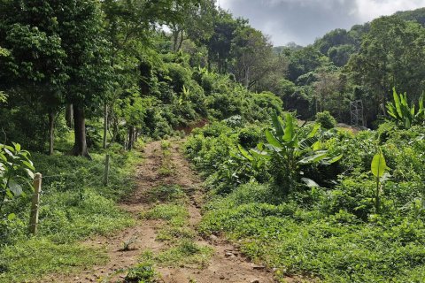 Land in Phuket, Thailand 966 sq.m. № 141927 - photo 3