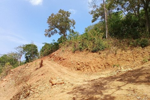 Land in Phuket, Thailand 966 sq.m. № 141927 - photo 8