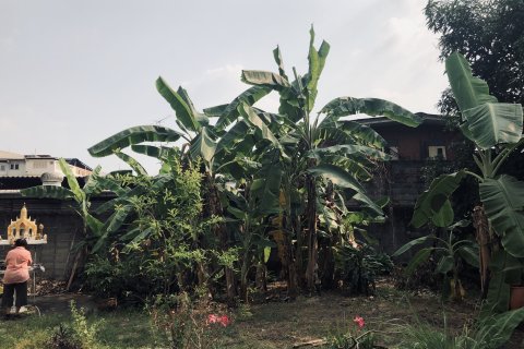 Земельный участок в Банг Сью, Бангкок, Таиланд 796м2  № 141924 - фото 4