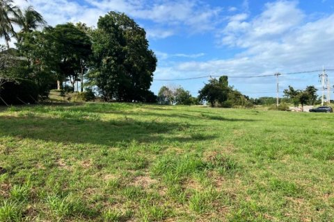 Земельный участок в Ча-аме, Таиланд  № 132470 - фото 10