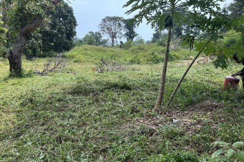 Земельный участок в Самуи, Таиланд № 126497 - фото 2