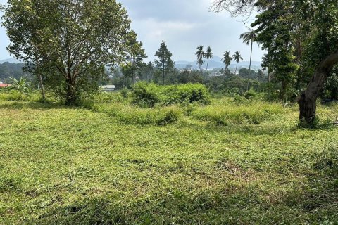 Земельный участок в Самуи, Таиланд № 126497 - фото 1