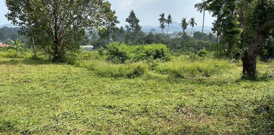 Земельный участок в Самуи, Таиланд № 126497