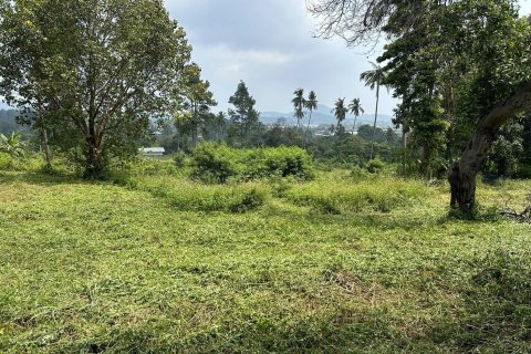 Земельный участок в Самуи, Таиланд № 126497 - фото 5