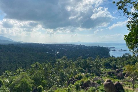 Terrain à Wiang Sa, Thaïlande № 86690 - photo 6