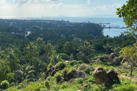 Terrain à Wiang Sa, Thaïlande № 86690 - photo 7