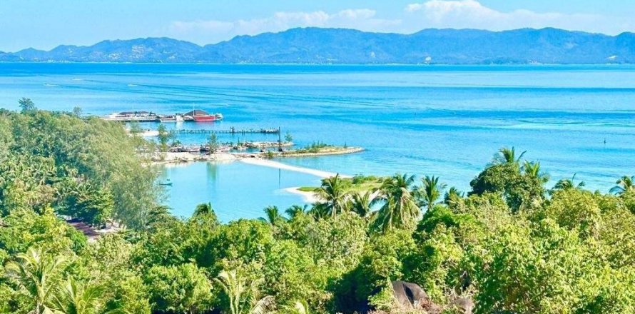 Terrain à Wiang Sa, Thaïlande № 86690