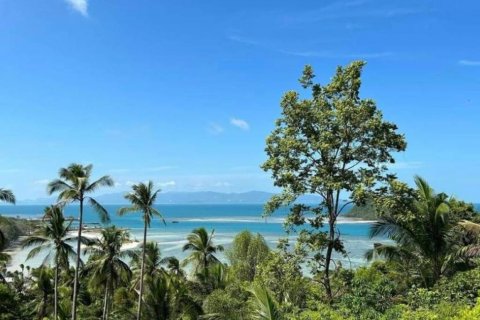 Terrain à Wiang Sa, Thaïlande № 86690 - photo 2