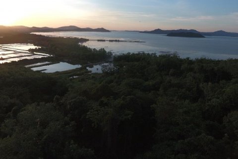 Land in Phuket, Thailand 7892 sq.m. № 142241 - photo 2