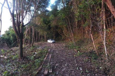 Land in Phuket, Thailand 7892 sq.m. № 142241 - photo 4