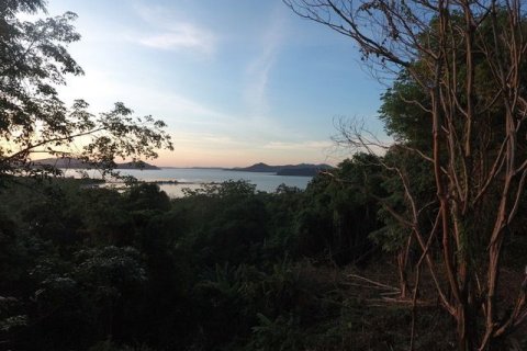 Land in Phuket, Thailand 7892 sq.m. № 142241 - photo 3