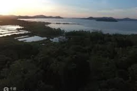 Land in Phuket, Thailand 7892 sq.m. № 142241 - photo 5