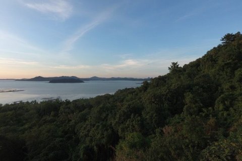 Land in Phuket, Thailand 7892 sq.m. № 142241 - photo 1