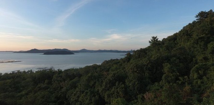 Land in Phuket, Thailand 7892 sq.m. № 142241