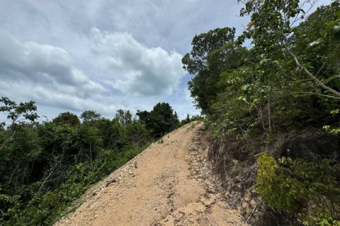 Land in Ko Samui, Thailand № 126008 - photo 7