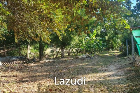 Land in Chiang Mai, Thailand № 121693 - photo 4