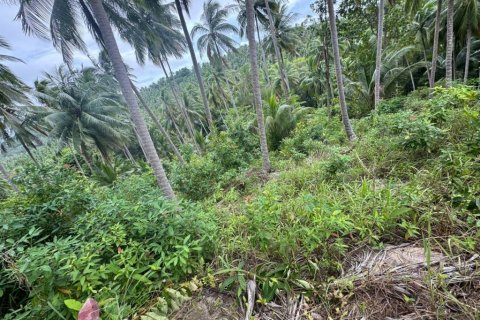 Land in Surat Thani, Thailand № 132614 - photo 7