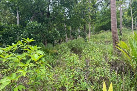 Land in Surat Thani, Thailand № 132614 - photo 5
