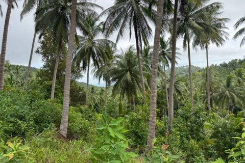 Land in Surat Thani, Thailand № 132614 - photo 1