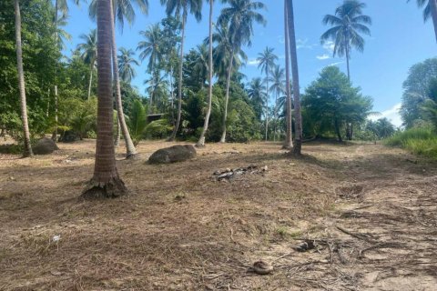 Land in Surat Thani, Thailand № 132614 - photo 3