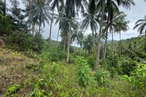 Land in Surat Thani, Thailand № 132614 - photo 4