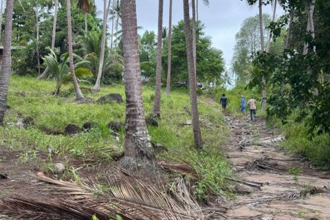 Land in Surat Thani, Thailand № 132614 - photo 6