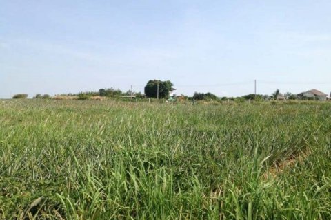 Land in Hua Hin, Thailand № 125205 - photo 7