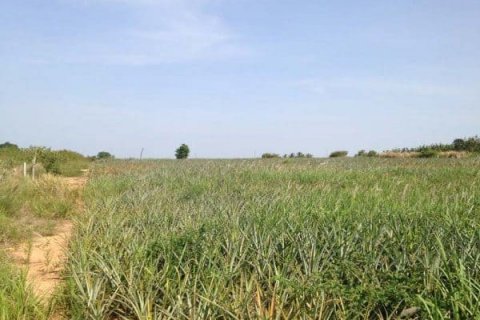 Land in Hua Hin, Thailand № 125205 - photo 6