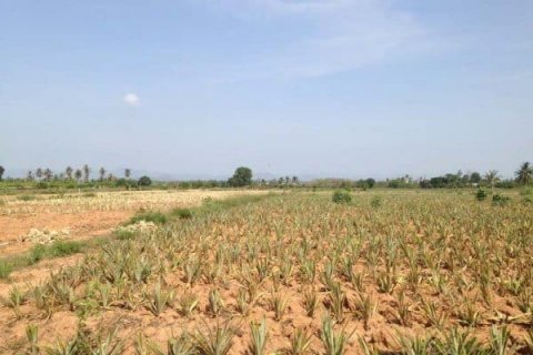 Land in Hua Hin, Thailand № 125205 - photo 9