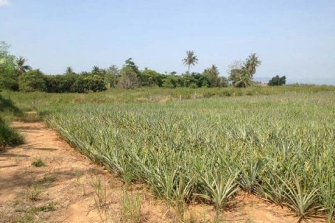 Land in Hua Hin, Thailand № 125205 - photo 1