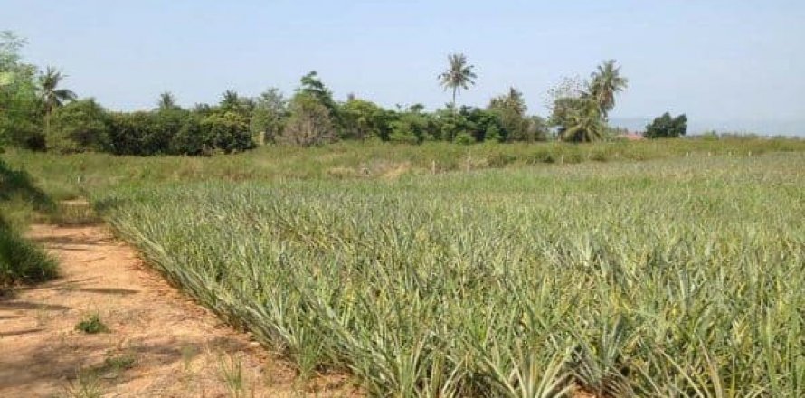 Land in Hua Hin, Thailand № 125205