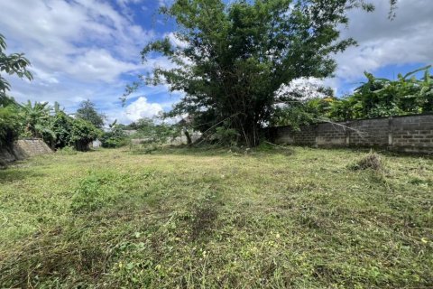 Земельный участок в Чианграе, Таиланд  № 132716 - фото 9