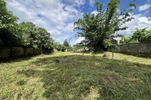 Земельный участок в Чианграе, Таиланд  № 132716 - фото 8