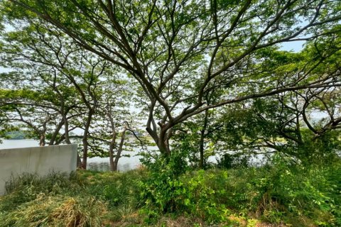 Terrain à Cha-am, Thaïlande № 124405 - photo 2