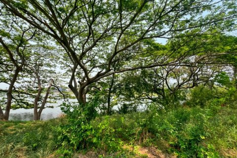 Terrain à Cha-am, Thaïlande № 124405 - photo 1